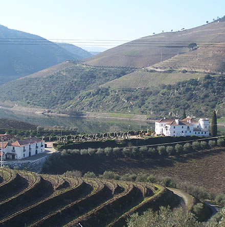 Armamar