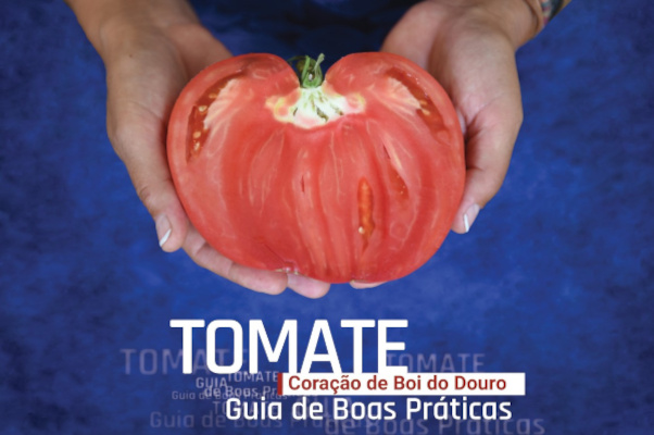_tomate_guia