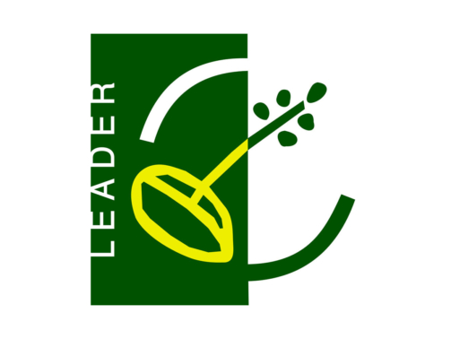 Logo LEADER1