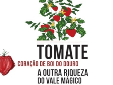 Tomate coração Boi
